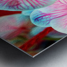 Orchid 6 Metal print