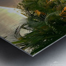 La Fortuna Costa Rica Metal print