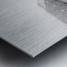 1903 Harvard Crimson vs. Dartmouth Big Green Metal print