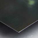 A touch of green Metal print