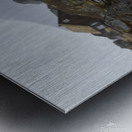 In the rain Metal print