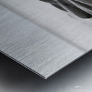 Floating Metal print