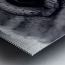Dragon’s Eye Metal print