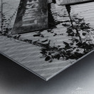 Lindsey’s Bygone Dreams Metal print