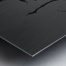 Bare Bones Metal print