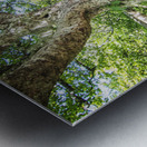 2022 June 20 CraggyTree02 Metal print