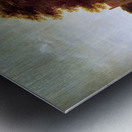 Man smoking in garden Sun Metal print