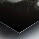 Solitudo Metal print