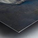 Praetorian Progenitor Metal print