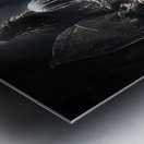 Hypogean Gaol Metal print