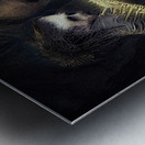 The Collector Metal print