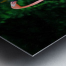 The Flamingo Family Metal print