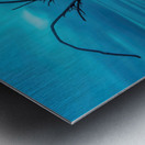 Jekyll Island Metal print