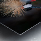 AfricanCrowned  Crane Metal print