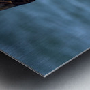 Osprey & Pompano Metal print