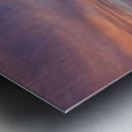 Max Brewer Bridge Metal print