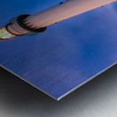 SAINT SIMON ISLAND Metal print