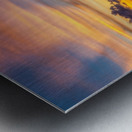    Melbourne Riverside Park Metal print