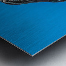  Caroline Wren Singing  Metal print