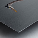 Great Blue Heron Metal print