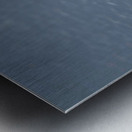 Hooded Merganser  Metal print