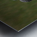 BABY  BLUE HERON VIERA Metal print