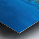 Driftwood Beach Metal print