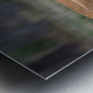  ANTILOPE Metal print