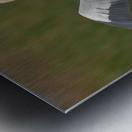 BLUE HERON VIERA  Metal print