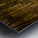 Aspen Afternoons Metal print