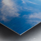 The Gateway Arch 3 Metal print