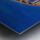 MAX BREWER Bridge Metal print