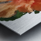 Symphonie en corail Metal print