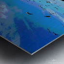 CHANNEL ISLANDS NATIONAL PARK  ANNACAPPA ISLAND   Metal print