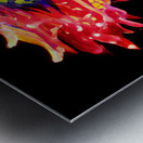 5E7B14C2 1114 430B 876C BEB8595A60BD Metal print