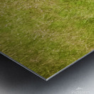 Leftovers Metal print