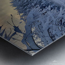 Winter Wonderland Metal print