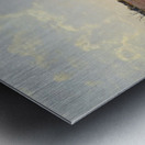 The land Metal print