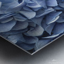 9840 Hydrangea Blue Metal print