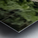 71133F87 F6A3 49EC BC60 CFE1AD6E7B6C Metal print