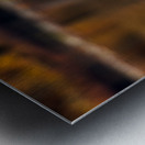 Swan Pair Metal print