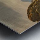 Turnagin Arm Metal print