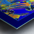 FOXGLOVES 001  Metal print