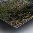   calling to G-D Almighty from  deep... Metal print