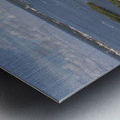 Hutchinson Island FL Metal print