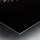Fireworks Metal print