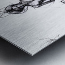 Aeremaid One Metal print