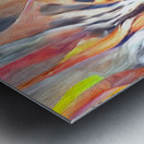 Crouched Tiger Hidden Dragon Metal print