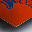 Vintage Florida Gator U of F Hat Print Metal print