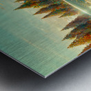 Views From North Florida River Metal print